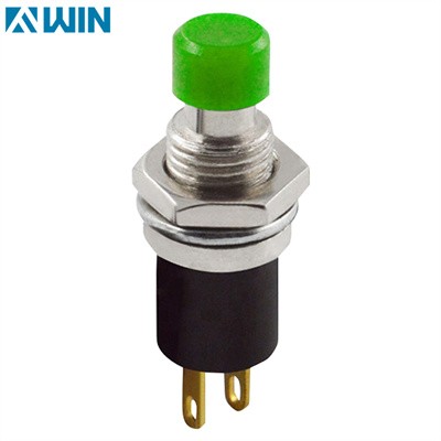Two Pin Mom Push-button Switch