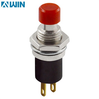 Two Pin Mom Push-button Switch