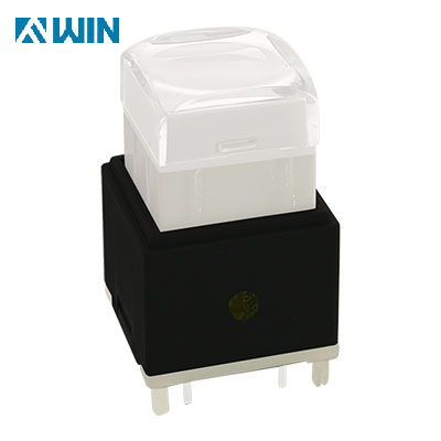 Dual Color Video Illuminated Tact Button